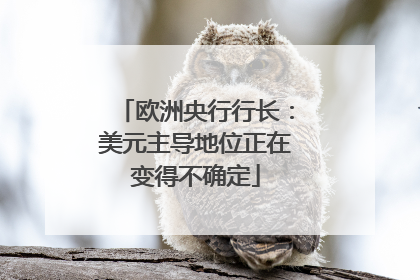 欧洲央行行长：美元主导地位正在变得不确定