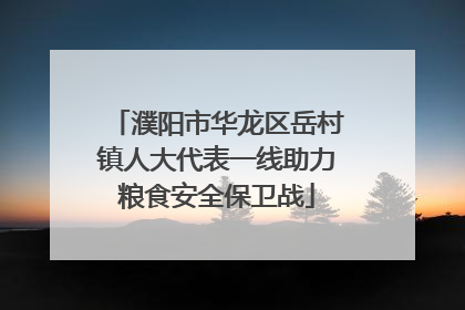 濮阳市华龙区岳村镇人大代表一线助力粮食安全保卫战