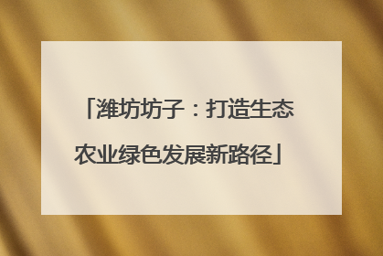 潍坊坊子：打造生态农业绿色发展新路径
