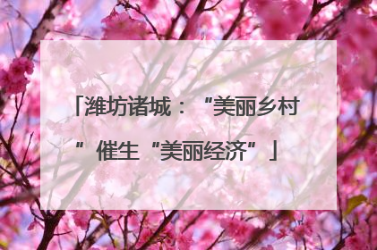 潍坊诸城：“美丽乡村”催生“美丽经济”