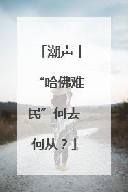 潮声丨“哈佛难民”何去何从？