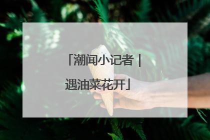潮闻小记者｜遇油菜花开