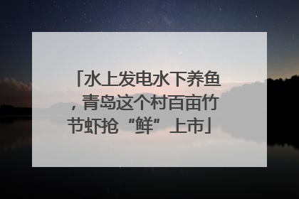 水上发电水下养鱼，青岛这个村百亩竹节虾抢“鲜”上市