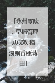 永州零陵：早稻管理见成效 稻浪飘香穗满田