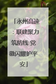永州高速：联建聚力筑防线 党徽闪耀护平安