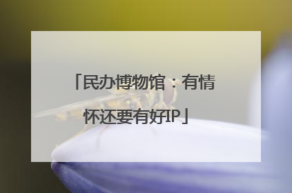 民办博物馆：有情怀还要有好IP
