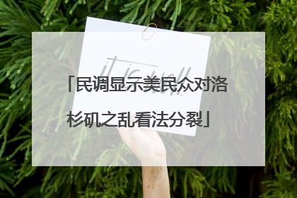 民调显示美民众对洛杉矶之乱看法分裂