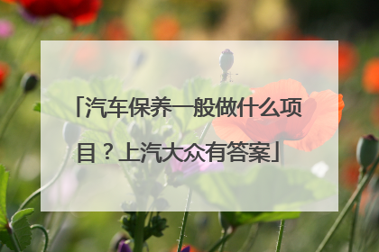 汽车保养一般做什么项目？上汽大众有答案