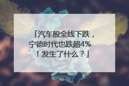 汽车股全线下跌，宁德时代也跌超4%！发生了什么？