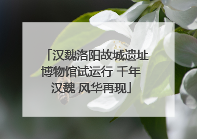 汉魏洛阳故城遗址博物馆试运行 千年汉魏 风华再现