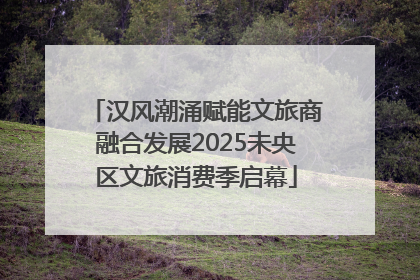 汉风潮涌赋能文旅商融合发展2025未央区文旅消费季启幕