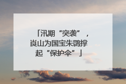 汛期“突袭”，崀山为国宝朱鹮撑起“保护伞”