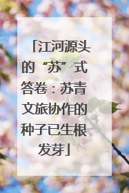 江河源头的“苏”式答卷：苏青文旅协作的种子已生根发芽