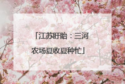 江苏盱眙：三河农场夏收夏种忙
