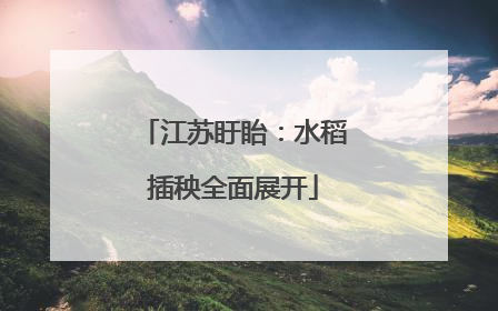 江苏盱眙：水稻插秧全面展开