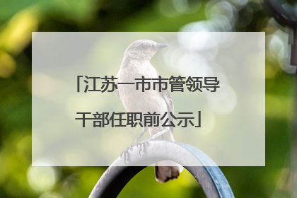 江苏一市市管领导干部任职前公示