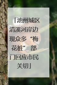 池州城区清溪河岸边现众多“梅花桩” 部门回应市民关切
