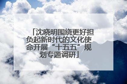 沈晓明围绕更好担负起新时代的文化使命开展“十五五”规划专题调研