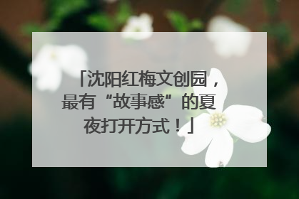 沈阳红梅文创园，最有“故事感”的夏夜打开方式！
