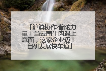 沪滇协作·普陀力量〡当云南牛肉遇上意面，这家企业迈上自研发展快车道