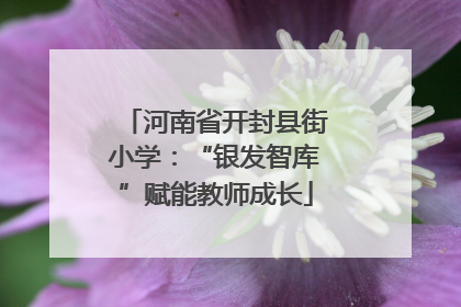 河南省开封县街小学：“银发智库”赋能教师成长