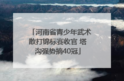 河南省青少年武术散打锦标赛收官 塔沟强势摘40冠