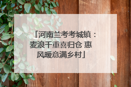 河南兰考考城镇：麦浪千重喜归仓 惠风暖意满乡村