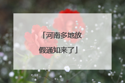 河南多地放假通知来了