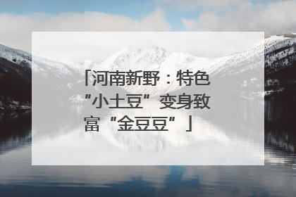 河南新野：特色“小土豆”变身致富“金豆豆”