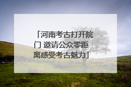 河南考古打开院门 邀请公众零距离感受考古魅力