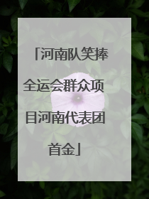河南队笑捧全运会群众项目河南代表团首金