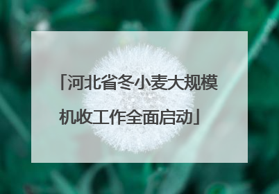 河北省冬小麦大规模机收工作全面启动