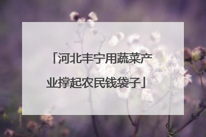 河北丰宁用蔬菜产业撑起农民钱袋子