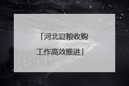 河北夏粮收购工作高效推进