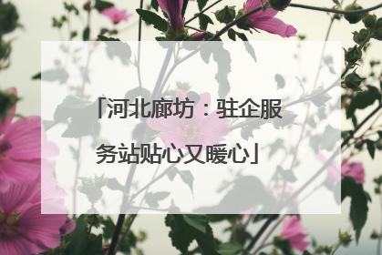 河北廊坊：驻企服务站贴心又暖心