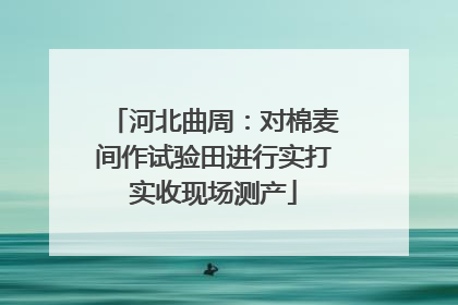 河北曲周：对棉麦间作试验田进行实打实收现场测产