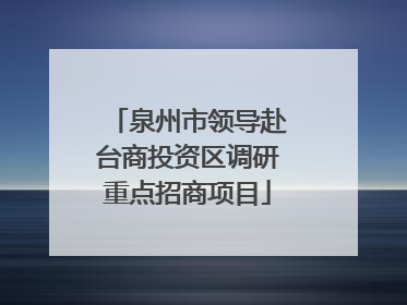泉州市领导赴台商投资区调研重点招商项目