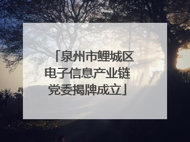 泉州市鲤城区电子信息产业链党委揭牌成立