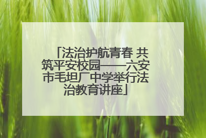 法治护航青春 共筑平安校园——六安市毛坦厂中学举行法治教育讲座