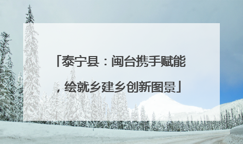 泰宁县：闽台携手赋能，绘就乡建乡创新图景