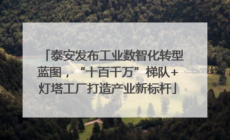泰安发布工业数智化转型蓝图，“十百千万”梯队+灯塔工厂打造产业新标杆