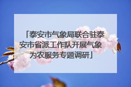 泰安市气象局联合驻泰安市省派工作队开展气象为农服务专题调研