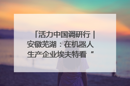活力中国调研行｜安徽芜湖：在机器人生产企业埃夫特看“中国智造”