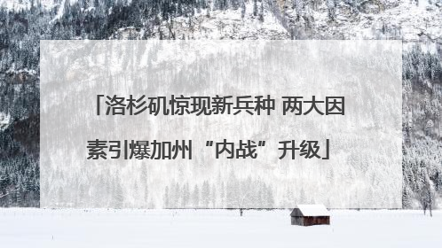 洛杉矶惊现新兵种 两大因素引爆加州“内战”升级