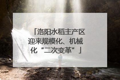 洛阳水稻主产区迎来规模化、机械化“二次变革”