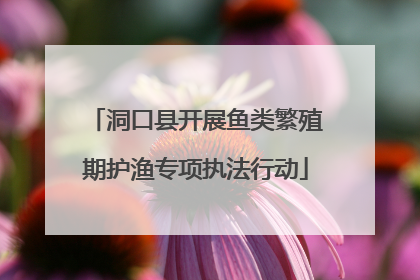 洞口县开展鱼类繁殖期护渔专项执法行动