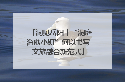 洞见岳阳丨“洞庭渔歌小镇”何以书写文旅融合新范式