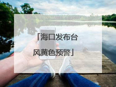 海口发布台风黄色预警