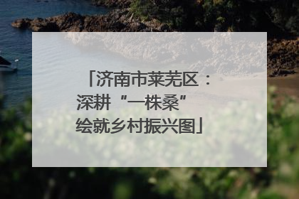 济南市莱芜区：深耕“一株桑” 绘就乡村振兴图