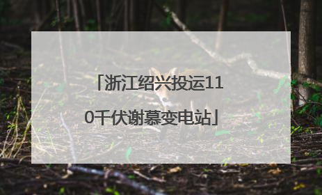 浙江绍兴投运110千伏谢慕变电站